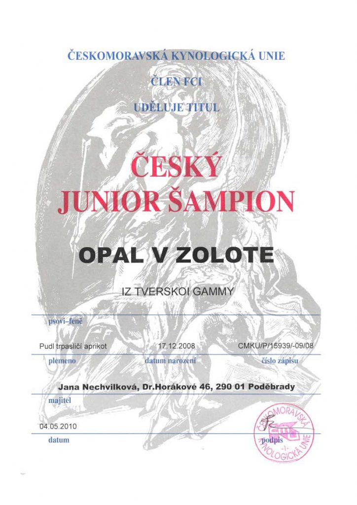 100504 CESKY JUNIOR SAMPION RICI TITULY