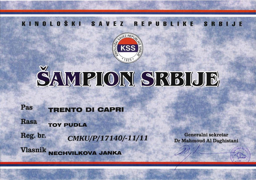 120430 CHAMPION SERBIE DE BEAUTE TRENTO TITULY
